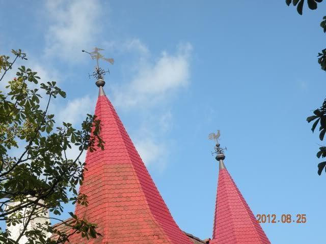 user posted image