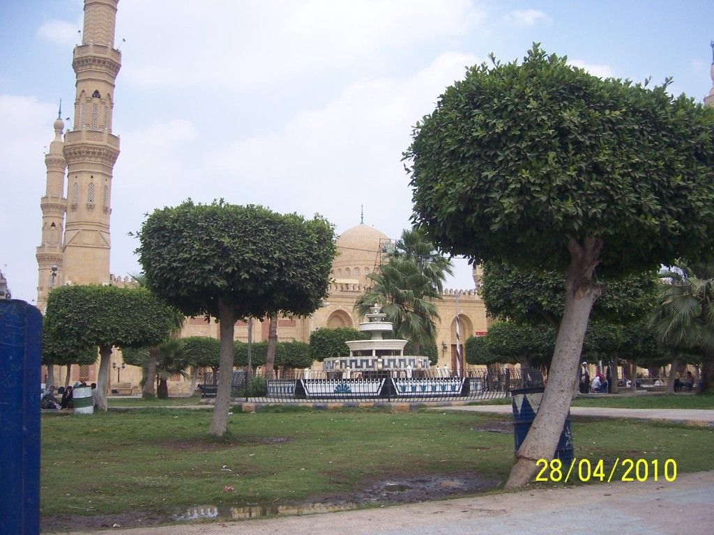صورة
