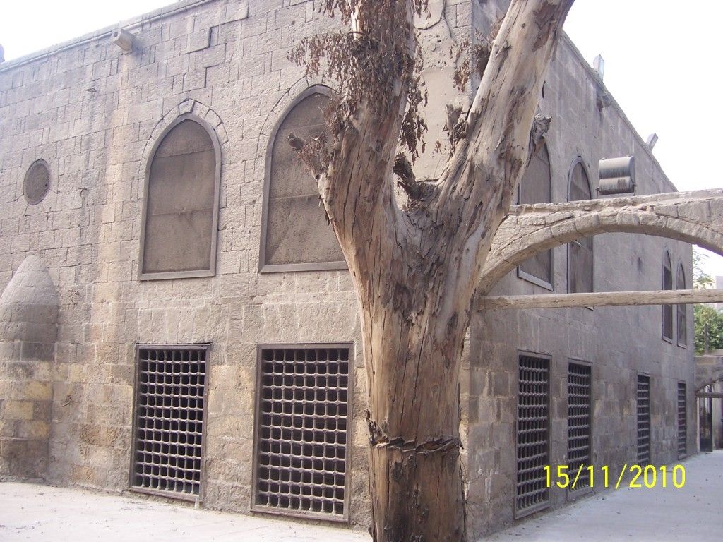 صورة