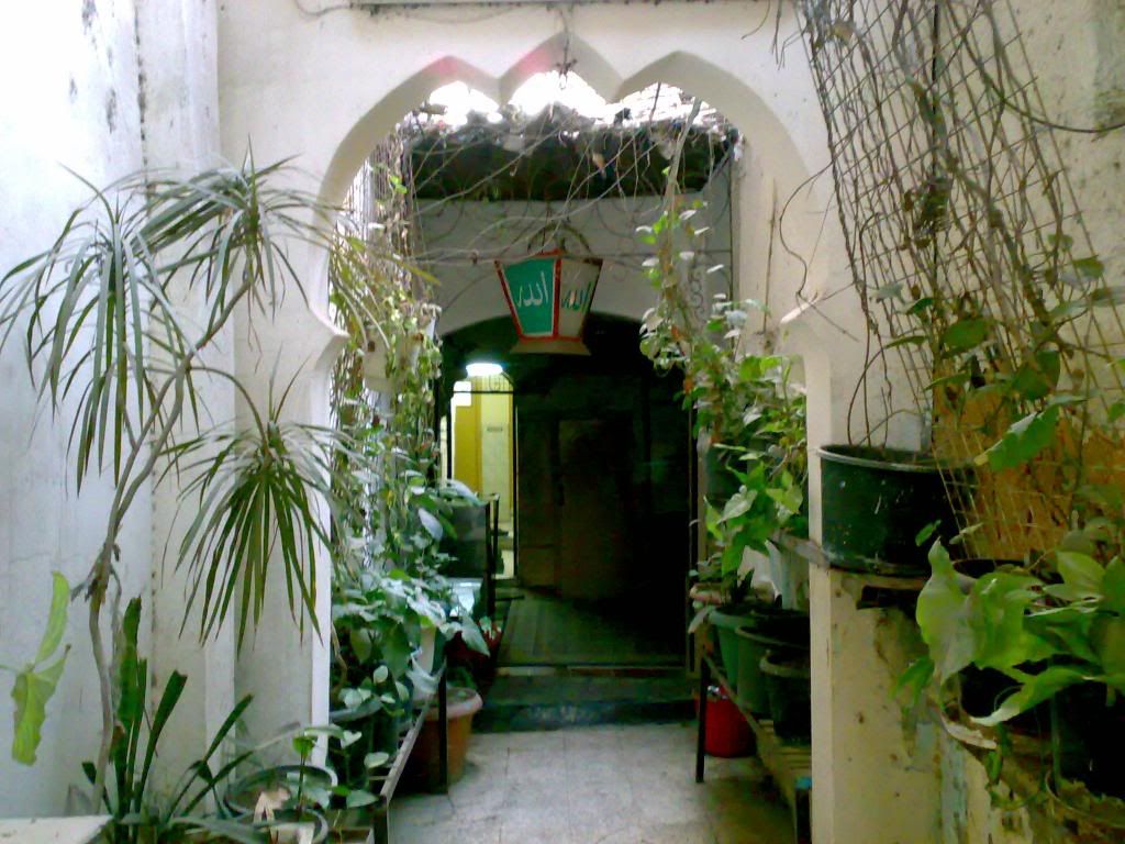 صورة