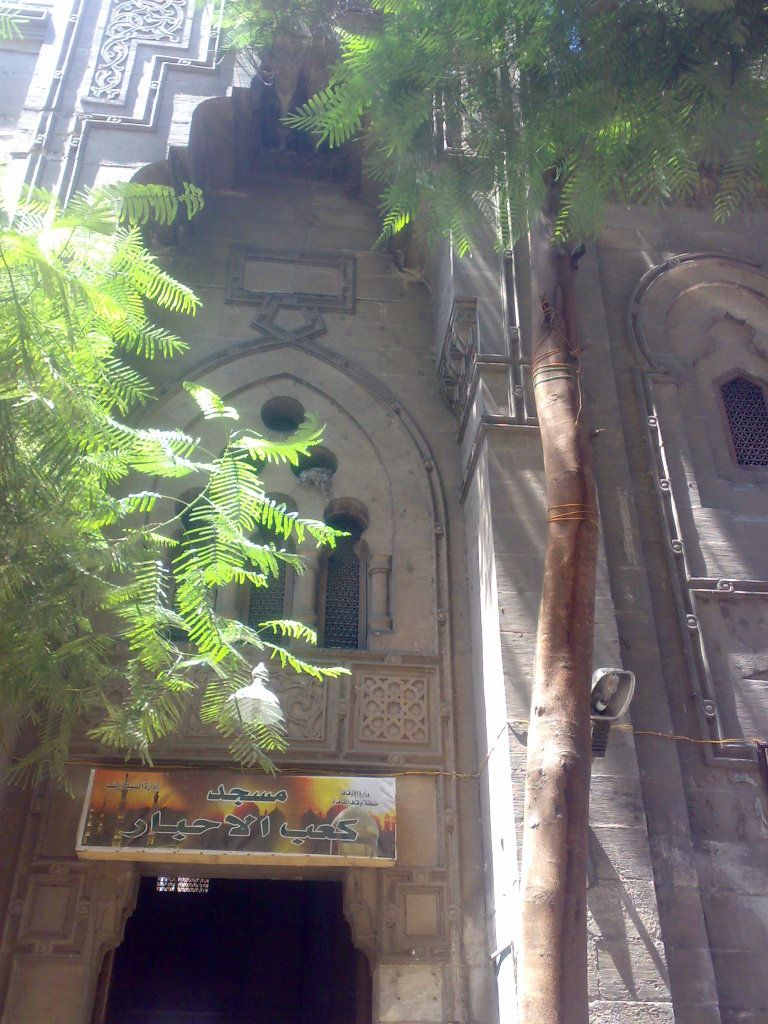 صورة