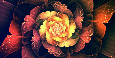  light Roses digital graphic design by Silvia Cordedda