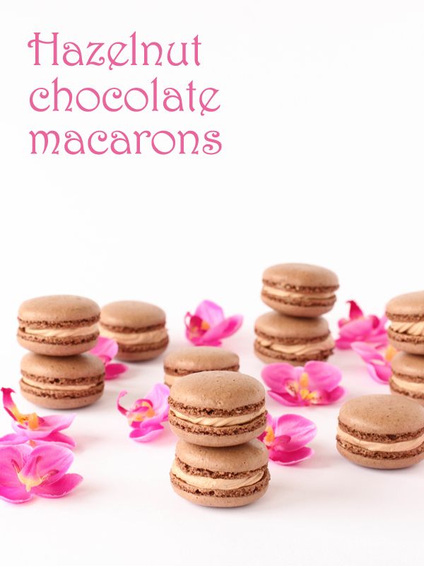 Hazelnut chocolate macarons