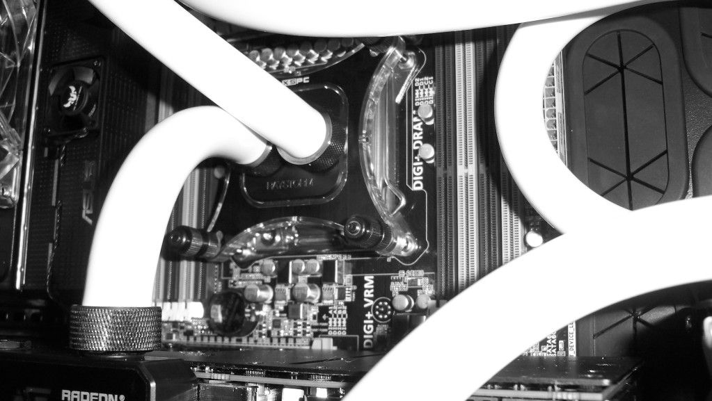 d59269e7.jpg