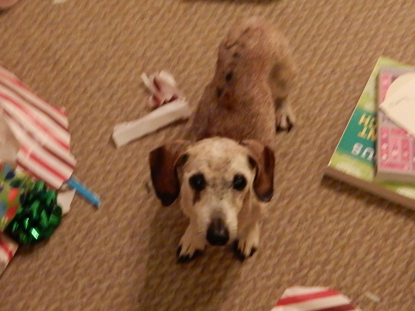 Christmas%20at%20the%20Shaws%20House%200