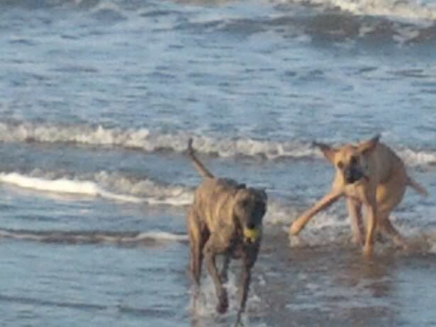 95183DAA_zpsad323cf3.jpg?t=1352729215