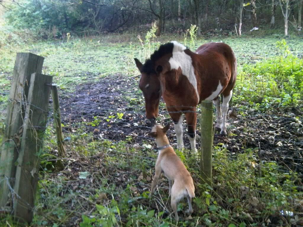 96B141FF_zps9248a048.jpg?t=1350315390