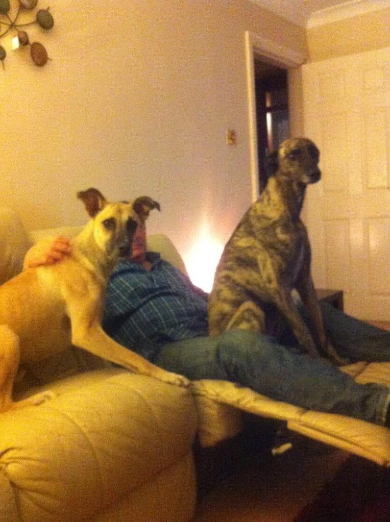 CBACE230_zps7e5bafd3.jpg?t=1352379420