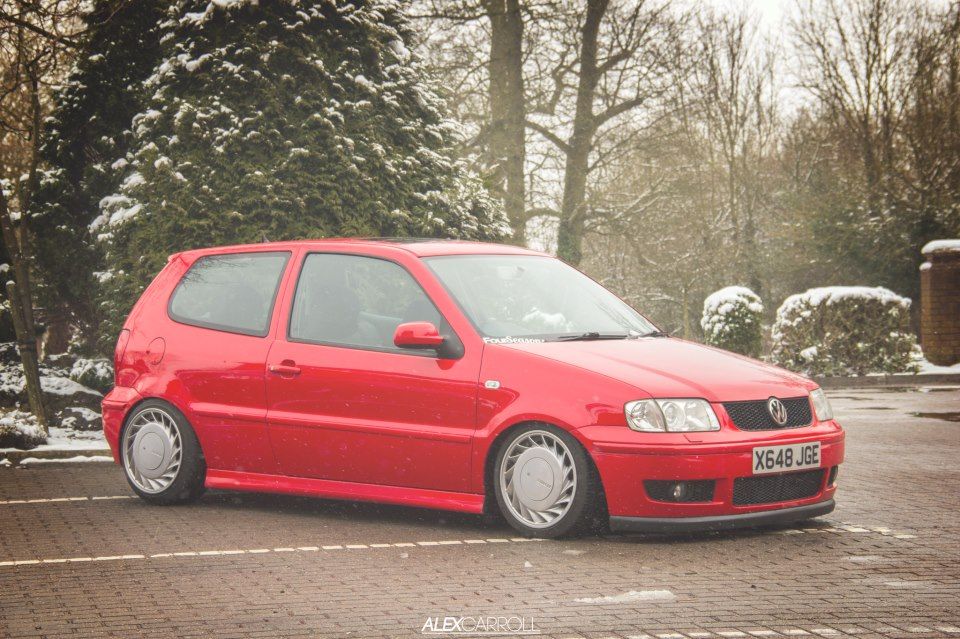 polo_zps3c57df4c.jpg