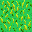 [Image: Grass.png]