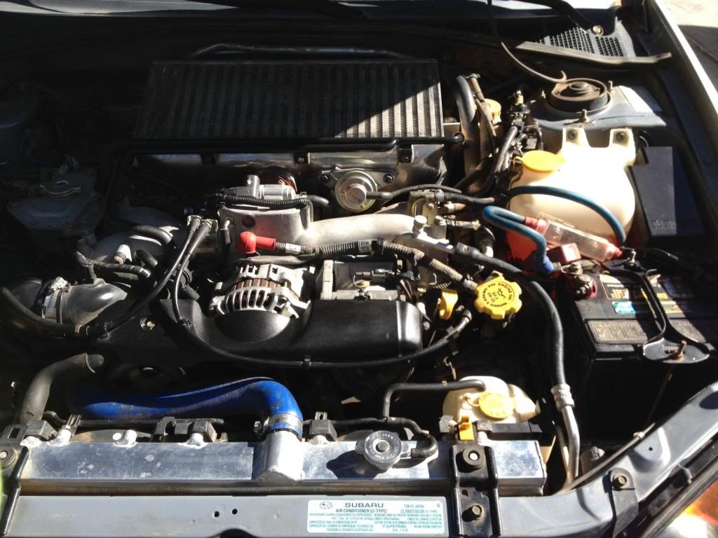 Also did some routine maintenance- spark plugs and fuel filter. Man, those fuel lines are a real b****