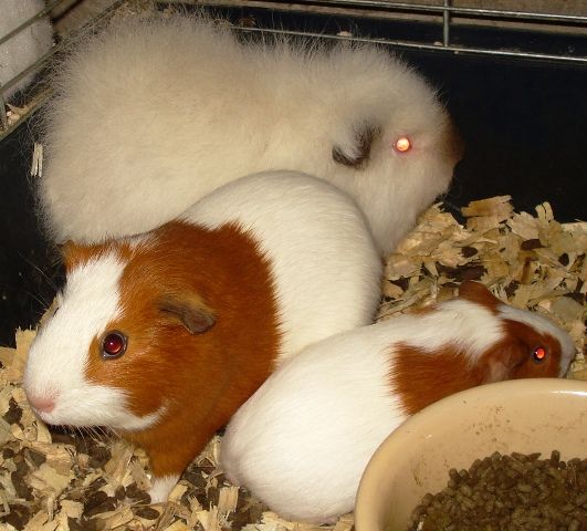 26thNov2012018.jpg