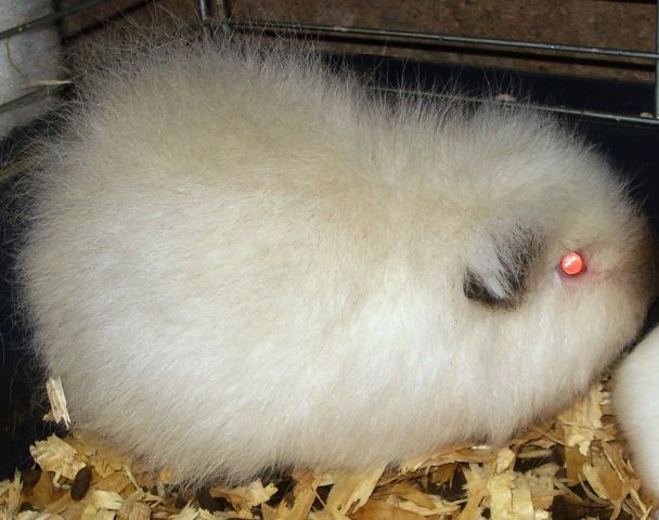 26thNov2012020.jpg