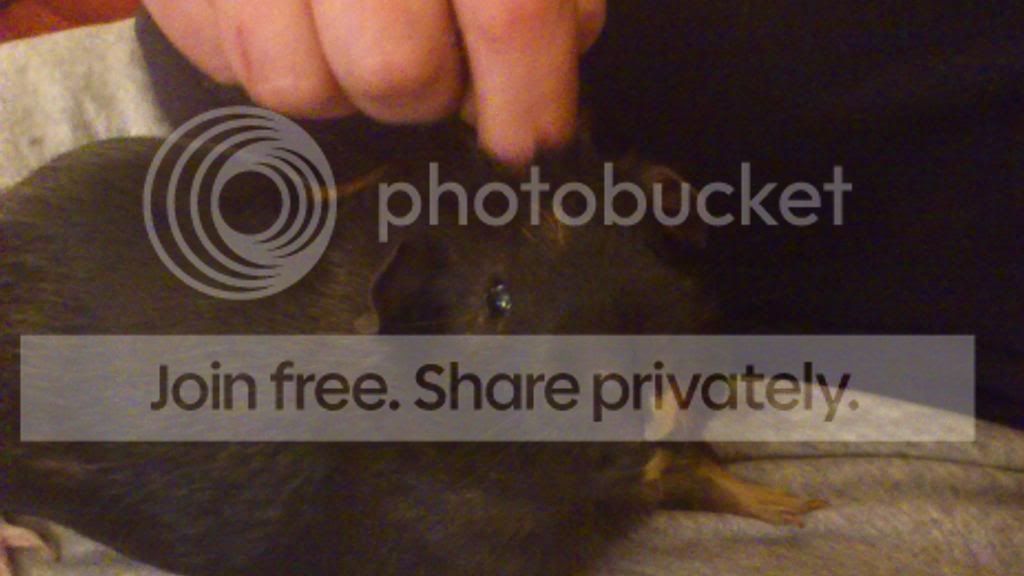 DSC_0189_zps1f4a6b21.jpg