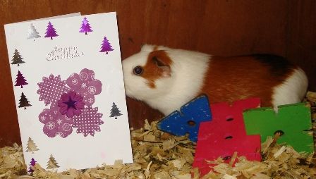 RosiewithherSecretSantacard_zps9fec3759.jpg