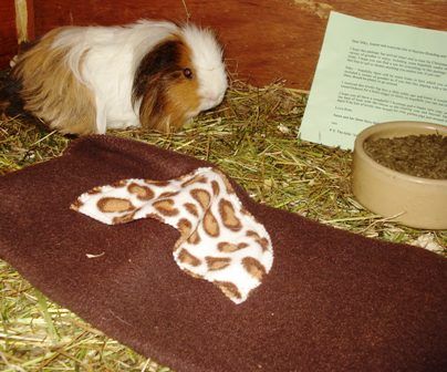 SilkywithhisSecretSantaLetterandaPresentblanket_zps692bcc16.jpg
