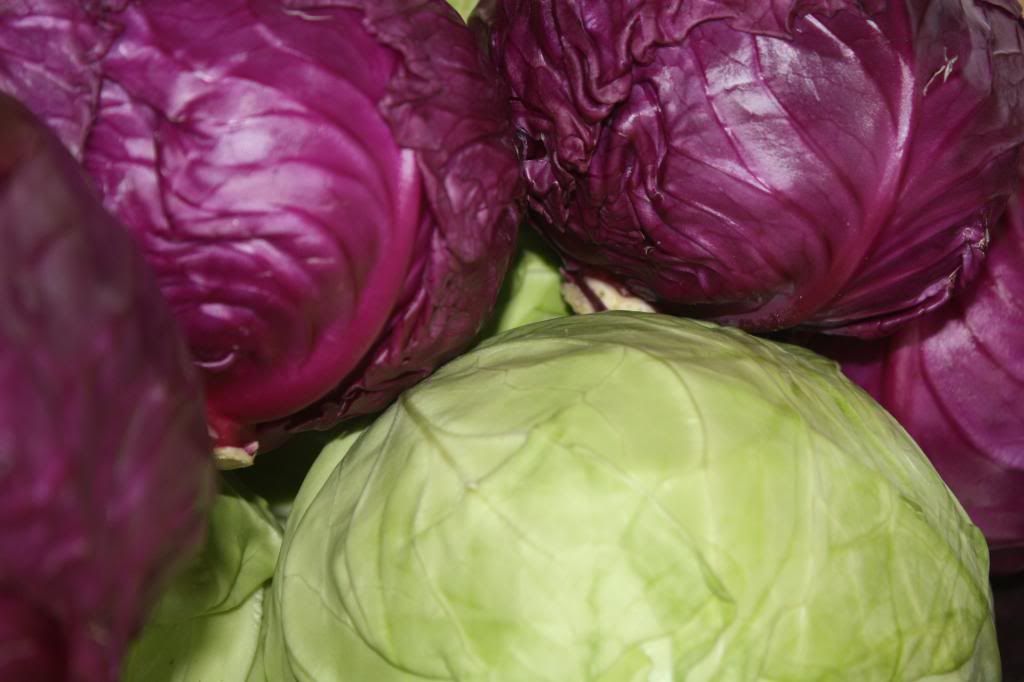cabbages photo IMG_0005_zps07c79f1d.jpg