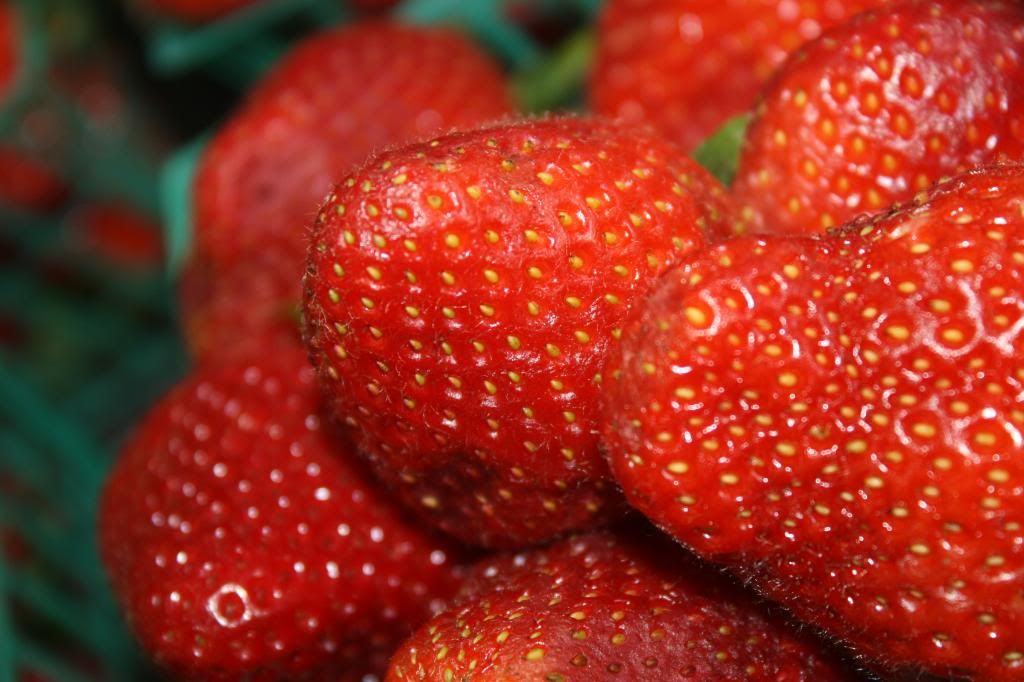 strawberries photo IMG_0012-Copy_zps86560579.jpg