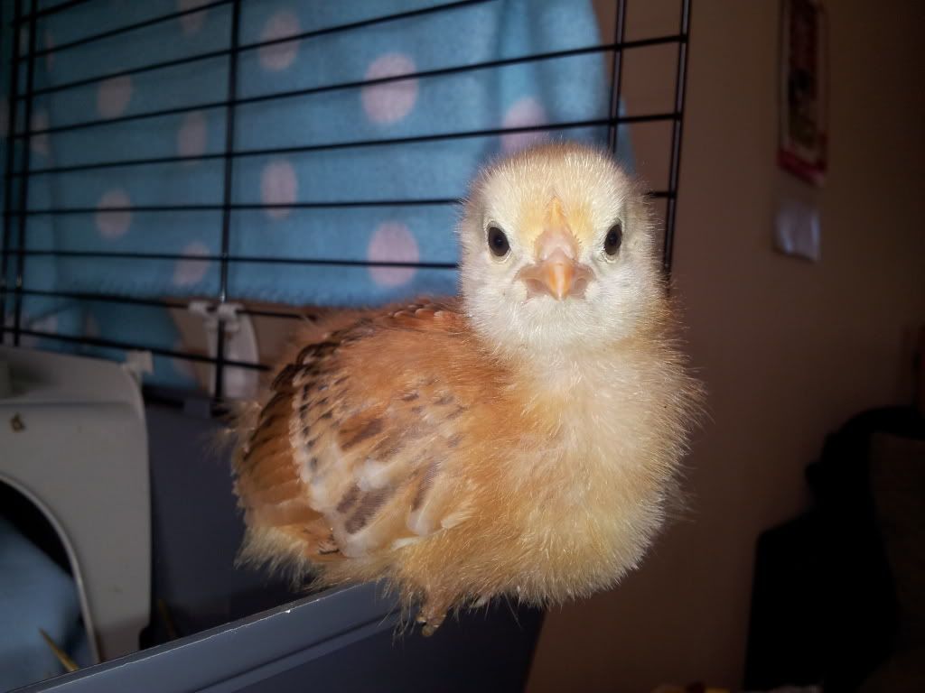 20120410_150301.jpg