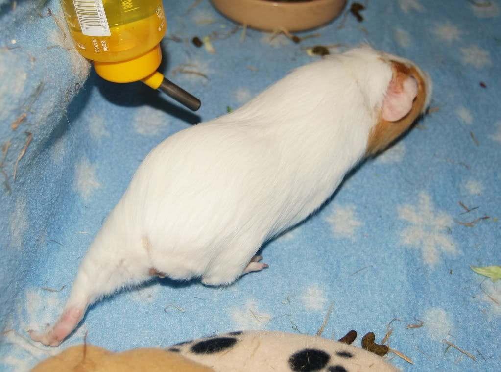 DSC_0018.jpg